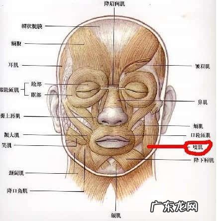 瘦脸针安全吗?注射瘦脸针后要注意什么?