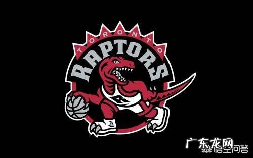求科普:为什么猛龙是唯一一支非美国境内球队?NBA为什么会出现一支加拿大球队?