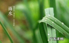 雨水是什么季节