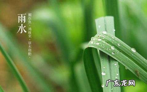 雨水是什么季节