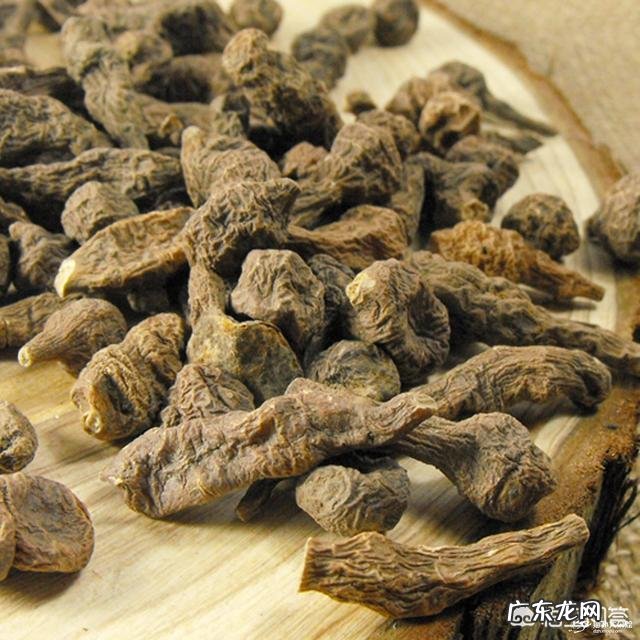 蕨麻怎么做既健康又好吃?