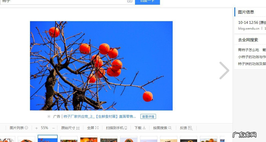 柿子和虾能一起吃吗