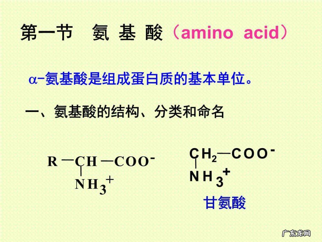 酸性氨基酸有哪些?