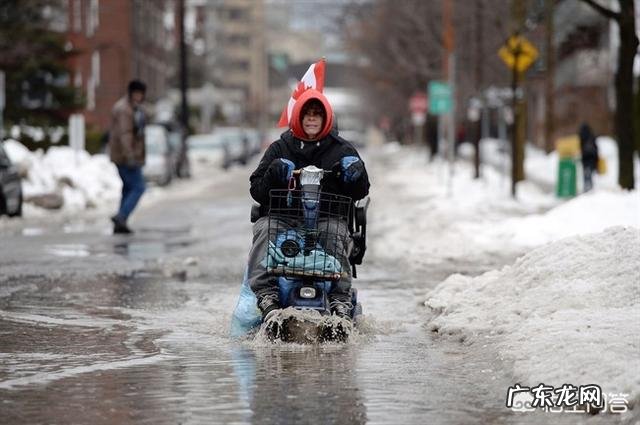 多伦多也是世界级大都市,可为什么感觉猛龙却始终不受NBA球员的待见?没人愿意去猛龙?