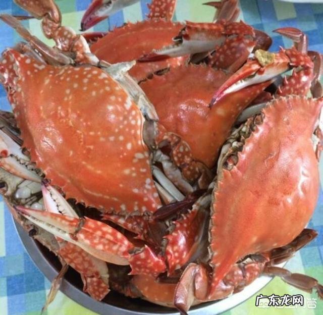 你们知道都有哪些海鲜种类吗?