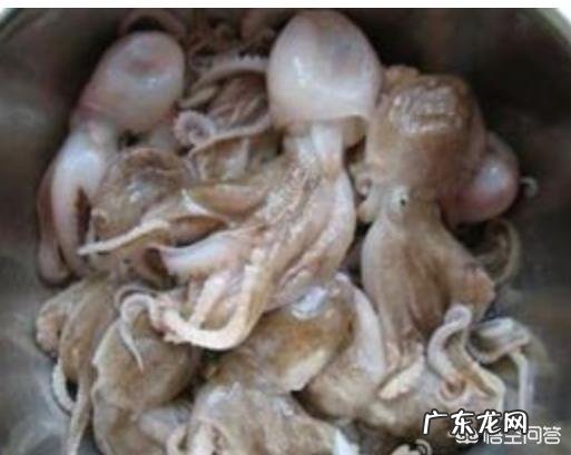 你们知道都有哪些海鲜种类吗?