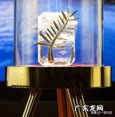 什么电影节的权威性比较高？