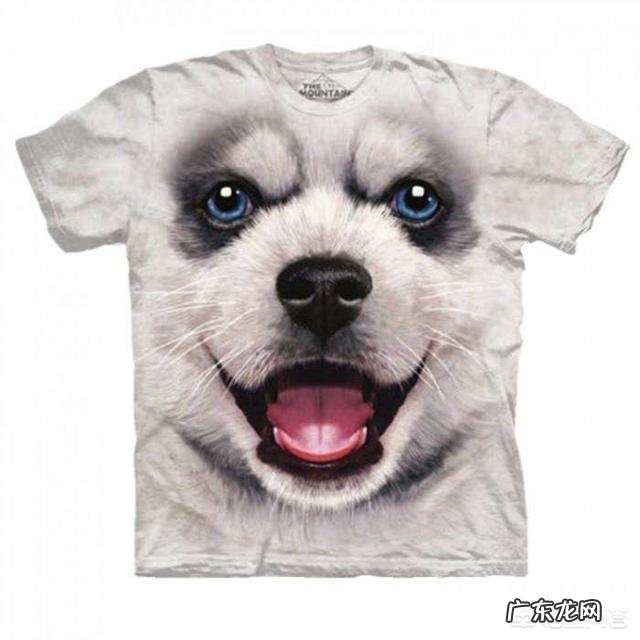 在T恤上可以画些什么图案?