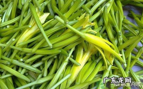 黄花菜可以鲜着吃吗?