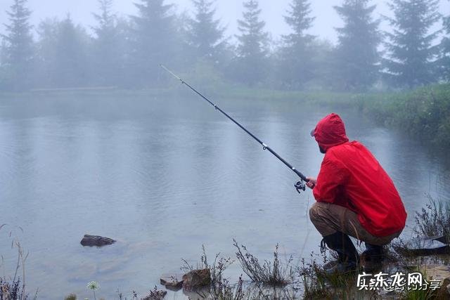 水草茂盛的地方钓鲤鱼用什么饵料好?