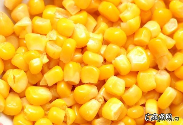 水草茂盛的地方钓鲤鱼用什么饵料好?