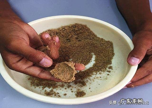 水草茂盛的地方钓鲤鱼用什么饵料好?