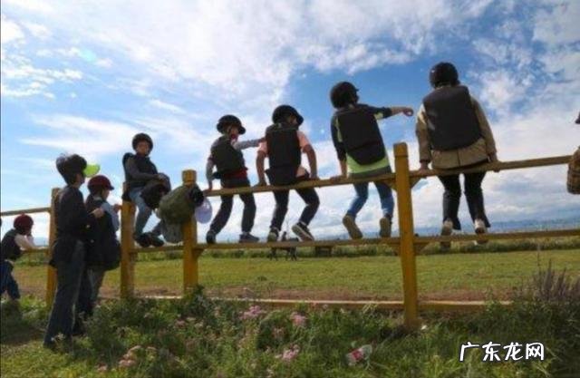 大家觉得中国式教育如何?