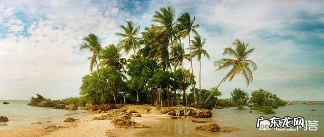 椰子油如何使用?