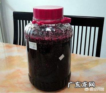 桑葚的功效与作用有哪些?