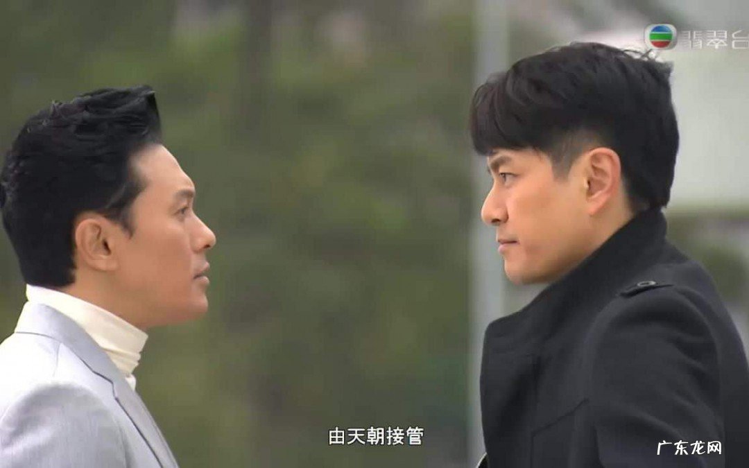 胡定欣和李天翔演过的电视剧