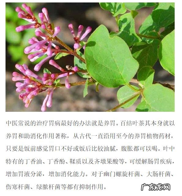 胃经常“咕噜”叫是什么原因呢