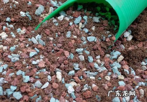 养花时营养土的配制方法