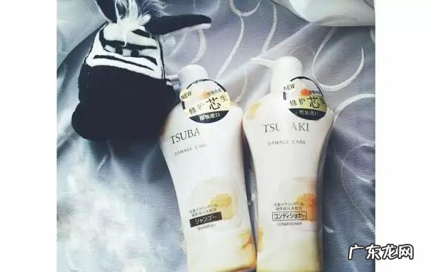 哪款洗发水比较好？