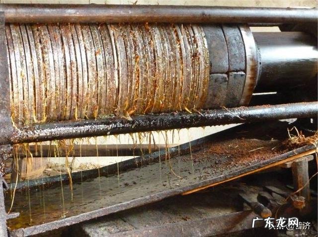 黄豆5元多一公斤,压榨豆油出油率不超过15%。超市的豆油为什么那么便宜?