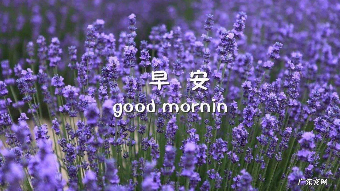 新的一月早安祝福问候语