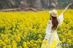 能超过“不知细叶谁裁出，二月春风似剪刀”这样描述春天来了的诗句有什么？