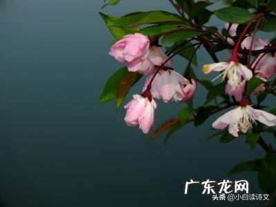 能超过“不知细叶谁裁出,二月春风似剪刀”这样描述春天来了的诗句有什么?