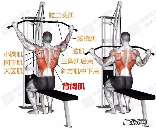 怎样能让瘦人的肌肉长得更快