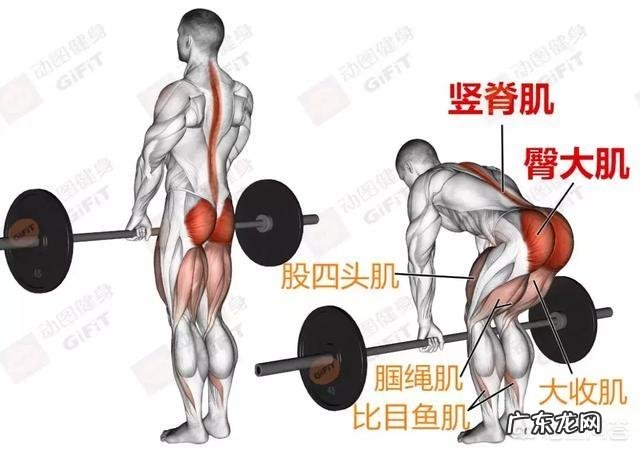 怎样能让瘦人的肌肉长得更快