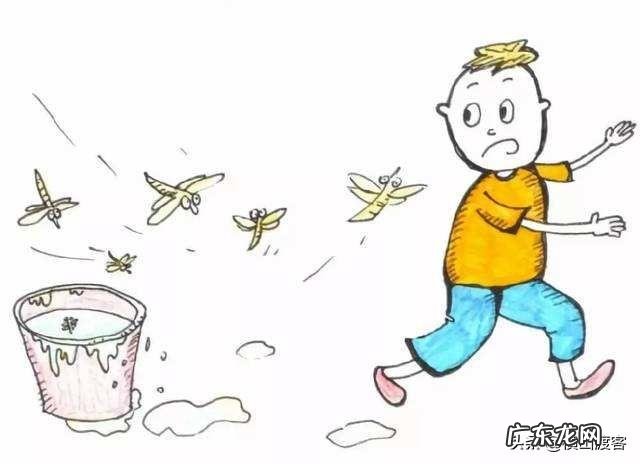 怎么灭苍蝇?