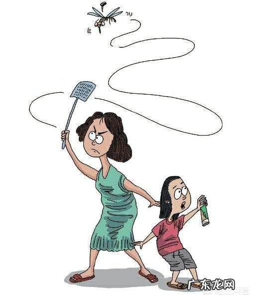 怎么灭苍蝇?