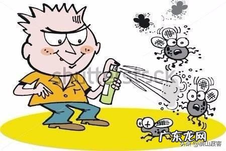 怎么灭苍蝇?