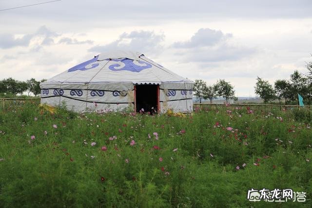 如何评价洛阳无性别公厕隔断被钻孔这件事?