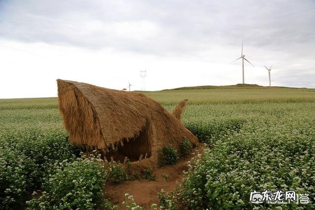 如何评价洛阳无性别公厕隔断被钻孔这件事?