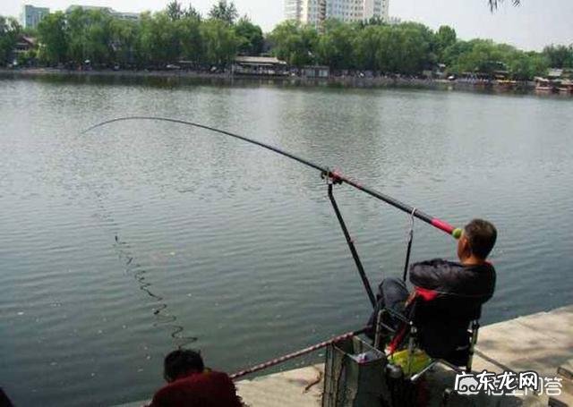 哪位大神告诉我钓鲤鱼用什么饵好？