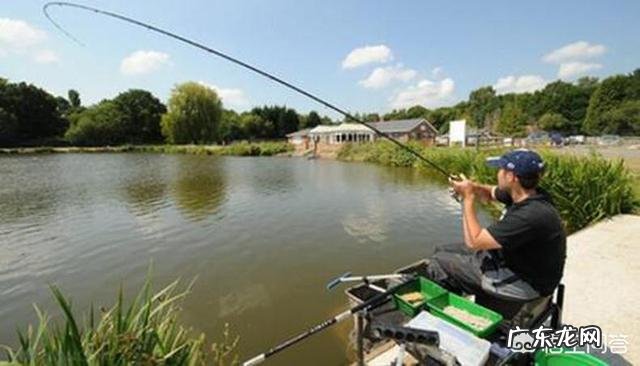 哪位大神告诉我钓鲤鱼用什么饵好？