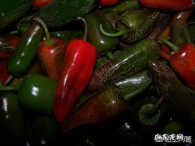 在辣椒还没有传入中国的时候，四川人就爱辣吗？