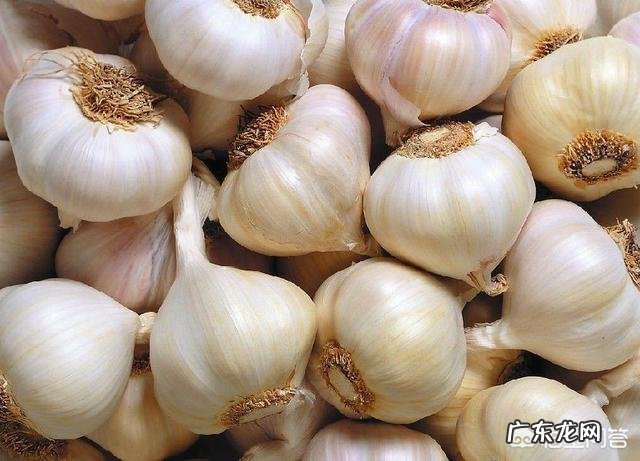 在辣椒还没有传入中国的时候，四川人就爱辣吗？