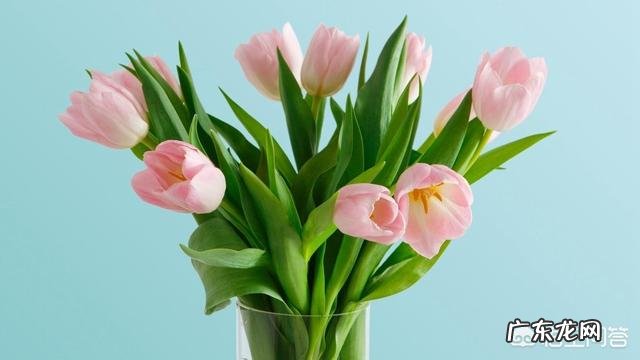 请问第一次去男友女友家,是同床好还是分床好?