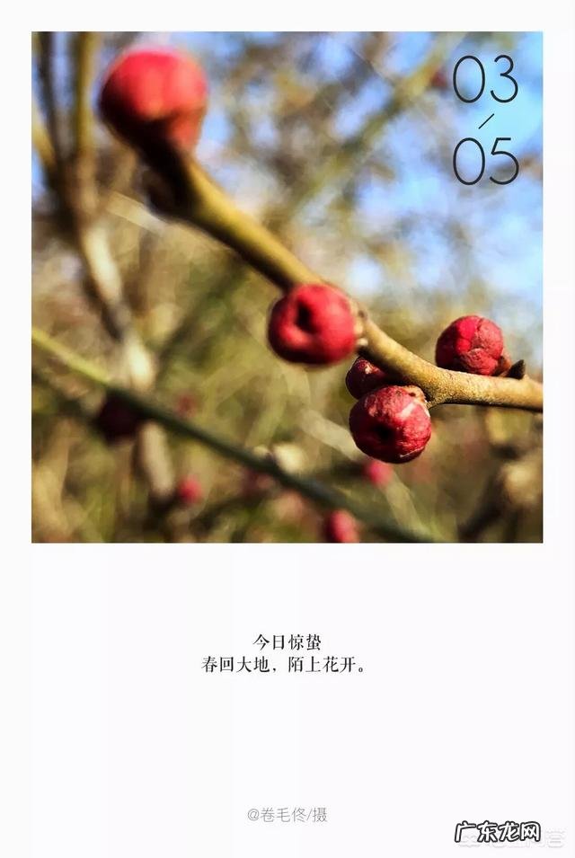 有什么软件可以在图片上加文字？还可以制作照片呢？