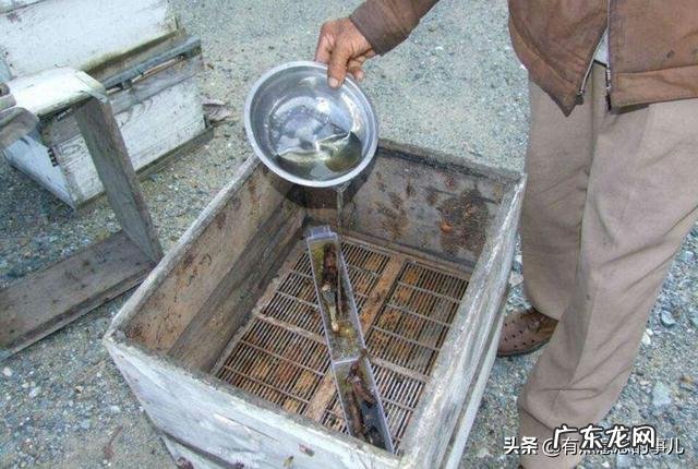 立冬后的这段时间怎么喂食蜜蜂?