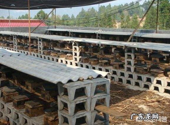 立冬后的这段时间怎么喂食蜜蜂?