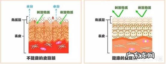 什么面霜比较保湿补水滋润?