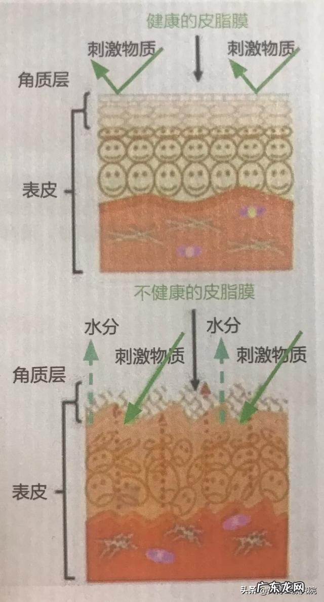 什么面霜比较保湿补水滋润?