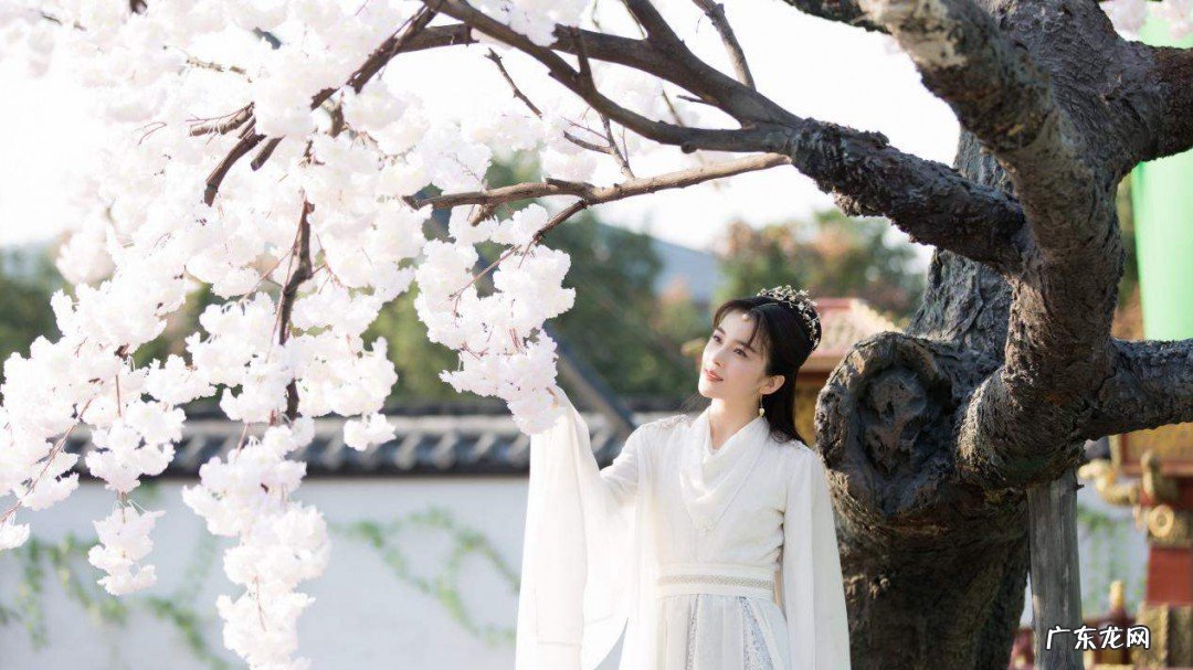 琉璃说的是什么