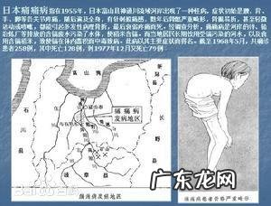 #秋补#秋天的菠菜有什么营养价值?