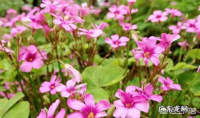 当发现微信好友把你删除了,你们心里什么感受?