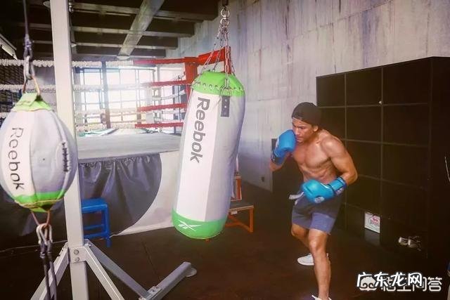 米雪现在还好吗?