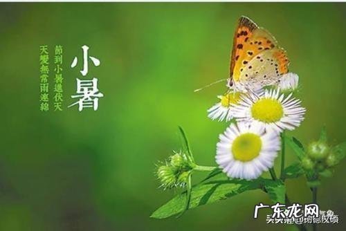 什么叫“夏至三更变暑伏”？
