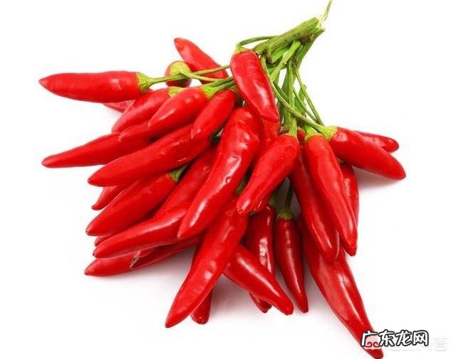 中国人是从什么时候开始吃辣椒的呢?